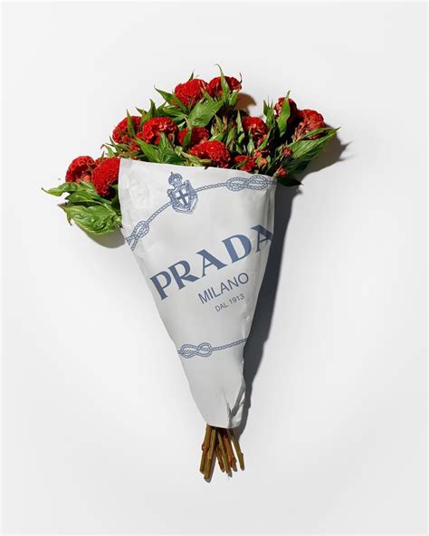 Prada floral